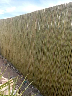 Bamboo fencing and wooden pannels.