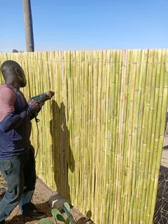 Bamboo fencing and wooden pannels.