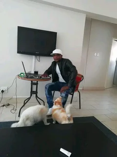 I&#39;m looking for employment as a Gardener, painting, caregiver, Dog walker