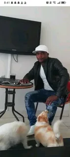 I&#39;m looking for employment as a Gardener, housekeeper, caretaker, painting,  walker