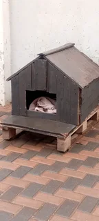 Dog kennel