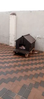 Dog kennel