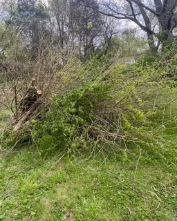Garden refuse and rubble removal