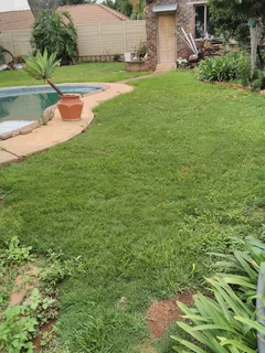 Garden restoration landscaping and site clearance