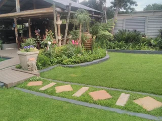 Garden restoration landscaping and site clearance