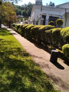 Garden restoration landscaping and site clearance