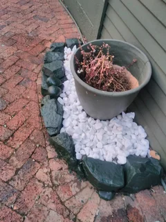 Garden restoration landscaping and site clearance