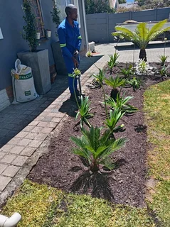 Am looking for a job house keeper and gardening and