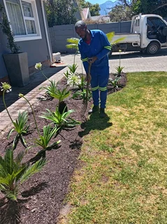 Am looking for a job house keeper of the house and gardening