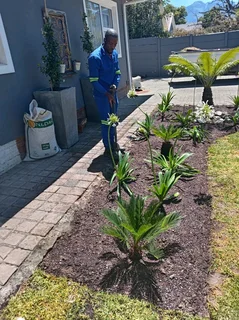 Am looking for a job house keeper and gardening and