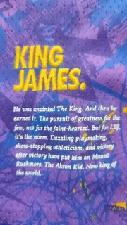 Limited edition LeBron James teashirt urgent sale 0715882040 make me and offer urgent sale thanks..