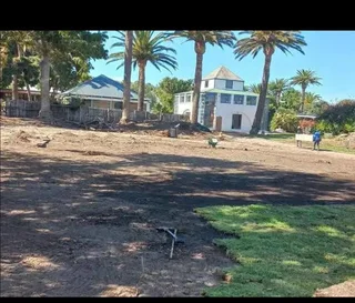 Am looking job as gardenening