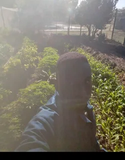 Am looking job as gardenening