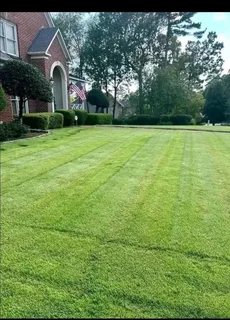 Am looking job as gardenening