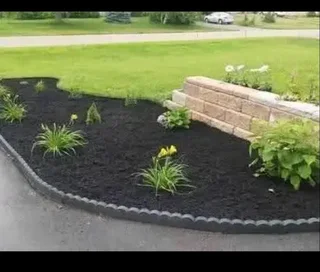 Am looking job as gardenening