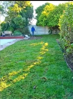 Am looking as gardener