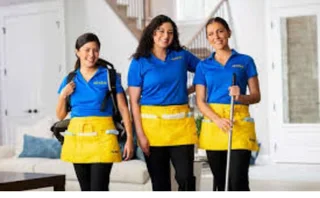 Tami Domestic Agency