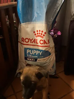 Belg - Ad posted by Jarred Dunn