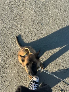 Belg - Ad posted by Jarred Dunn