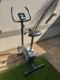 LiveFit Magnetic Upright Bike