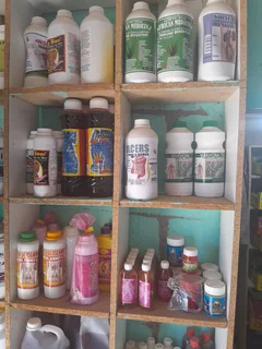 Herbs - Ad posted by Sserwanga