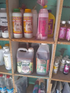 Herbs - Ad posted by Sserwanga