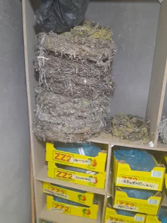 Herbs - Ad posted by Sserwanga