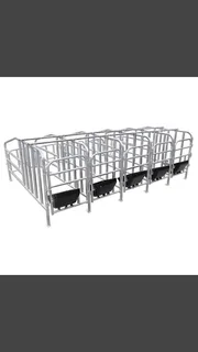 Fattening crate (10 pigs)