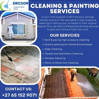 Roof cleaning and painting