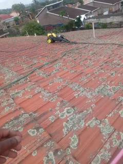 Roof cleanings and paintings