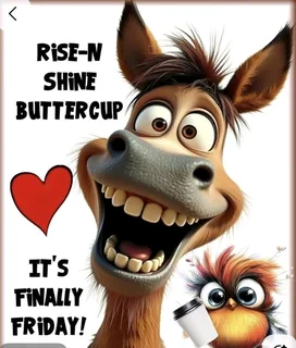 Lift wanted from Brackenfell to Parklands