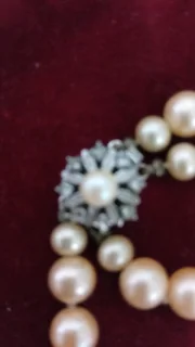 Pearls - Ad posted by Martie Ronge