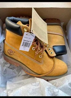 Brand new original timberland 2,500