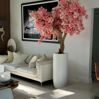 Indoor Cherry Blossom