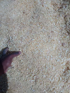 Sawdust - Ad posted by Liyema Germans Gadla