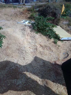 Sawdust - Ad posted by Liyema Germans Gadla