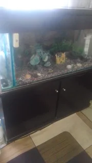 Used Fish Tank with a crack at the bottom