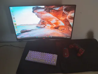 Gaming monitor