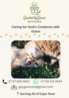 Guided By Grace Petcare