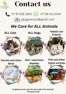Guided By Grace Petcare