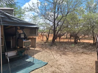 2013 Conqeuror Commander