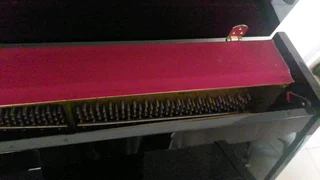 Beautiful French Polish Wooden Piano