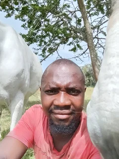 Garden boy or eny other jobs