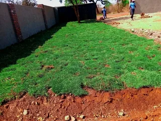 We Specialize On Roll On Grass Installations No We Dothe Job Without Asking Deposits