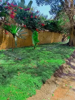 WE SPECIALIZE ON ROLL ON GRASS INSTALLATIONS NO WE DOTHE JOB WITHOUT ASKING DEPOSITS