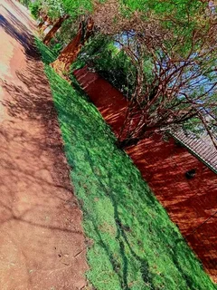 WE SPECIALIZE ON ROLL ON GRASS INSTALLATIONS NO WE DOTHE JOB WITHOUT ASKING DEPOSITS