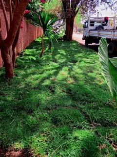 WE SPECIALIZE ON ROLL ON GRASS INSTALLATIONS NO WE DOTHE JOB WITHOUT ASKING DEPOSITS