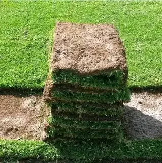 WE SPECIALIZE ON ROLL ON GRASS INSTALLATIONS NO WE DOTHE JOB WITHOUT ASKING DEPOSITS