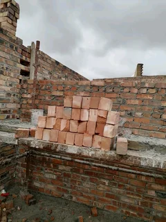 Building, Tileng,cellings,plastering, painting,plumbing, paving