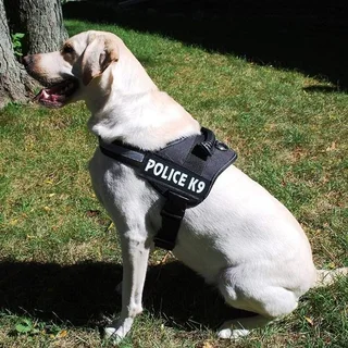 Police K9 Adjustable Dog Harness - Small - Pink